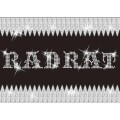 RAD RAT 第一弾音源Fly Away