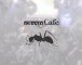 pure house -MAKAI & MITOMI TOKOTO EXCLUSIVE COLLABORATION-
