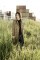 Shingo Oda