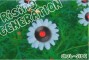RisingGENERATION Club-SIDE Vol.01