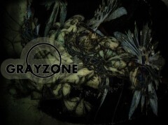 GRAYZONE