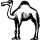 Camel Club