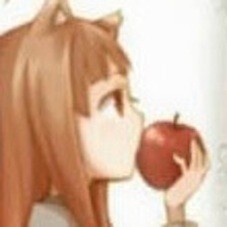holo